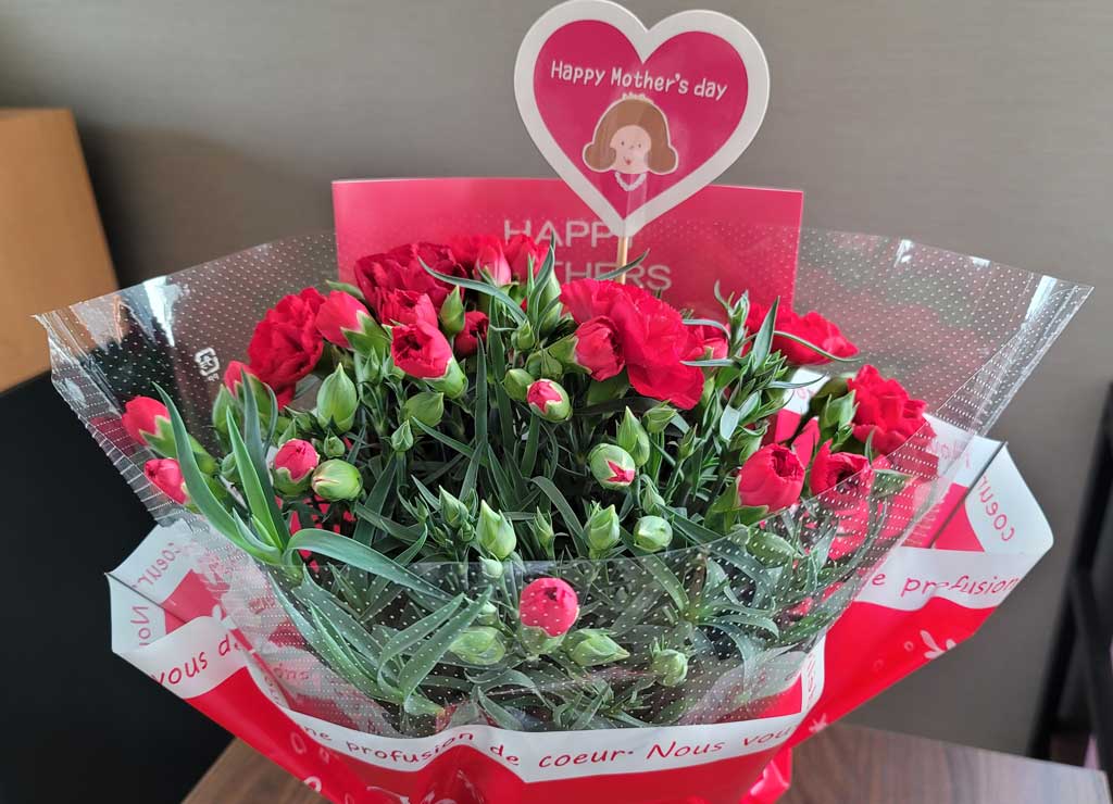 赤のカーネーション